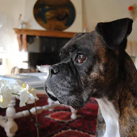 منزل ريفي Del Re Guerriero